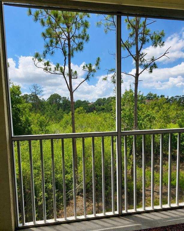 5711 BENTGRASS DRIVE UNIT 19-2
