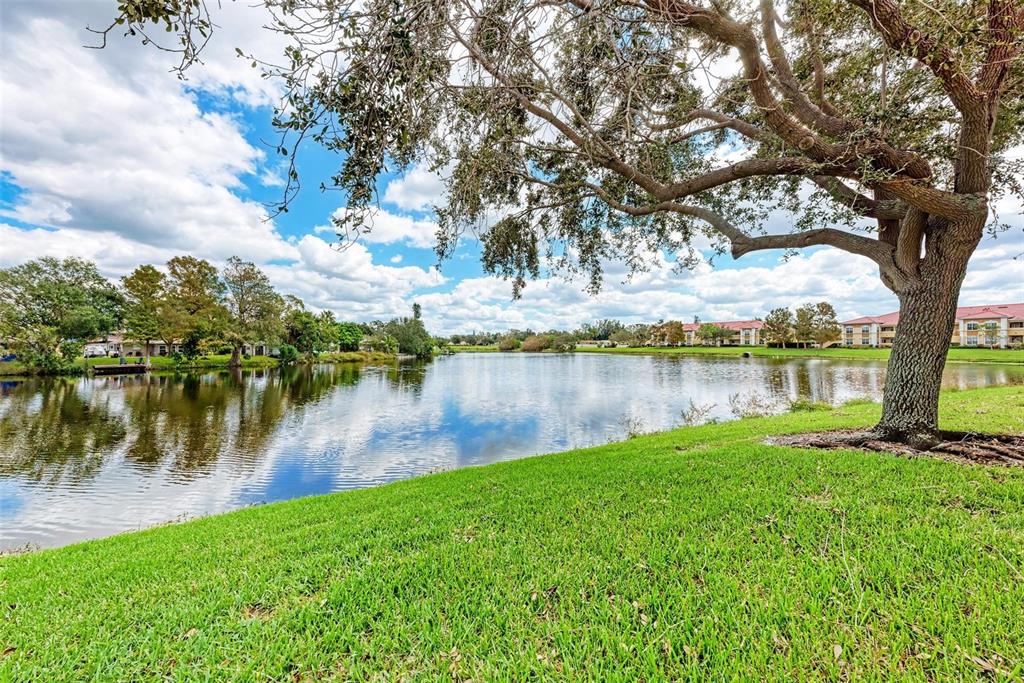 3005 CHIANTI COURT UNIT 103