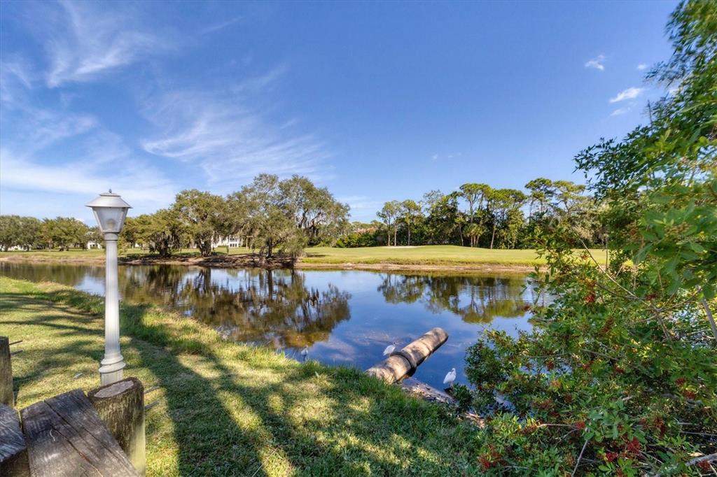 5662 LONG COMMON CIRCLE UNIT 8