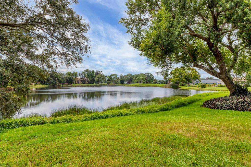 3244 RINGWOOD MEADOW UNIT 77