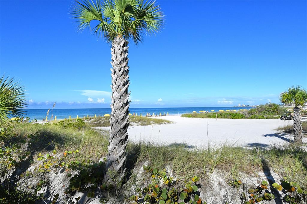 915 SEASIDE DRIVE UNIT 607, We