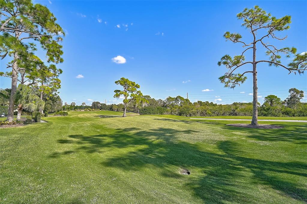 538 DOVE POINTE DRIVE