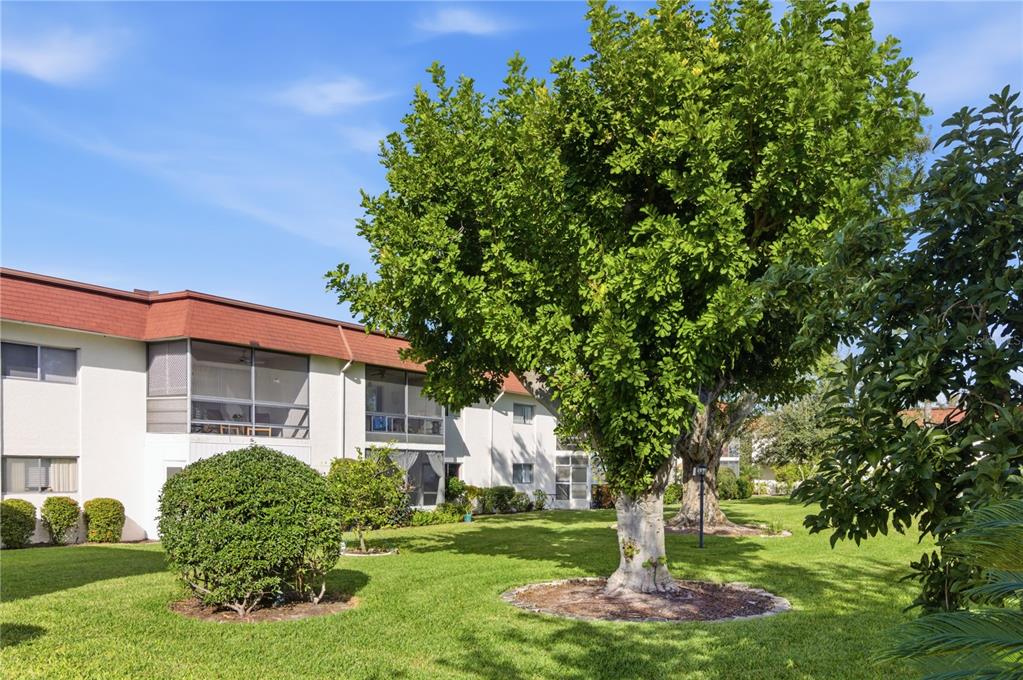 3500 BENEVA ROAD UNIT 307