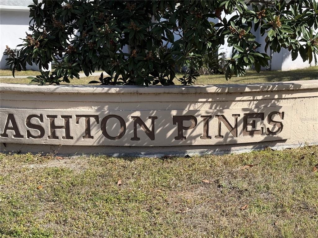 5295 ASHTON PINES LANE