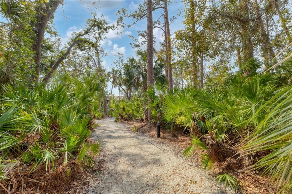 3351 THORNWOOD ROAD UNIT 3351