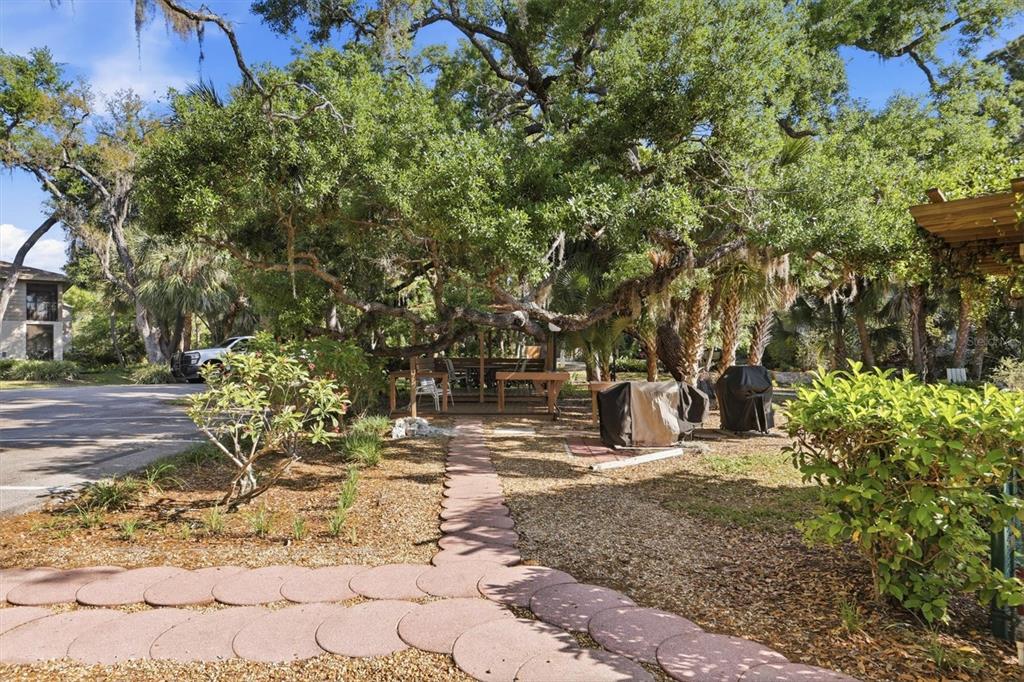 3351 THORNWOOD ROAD UNIT 3351