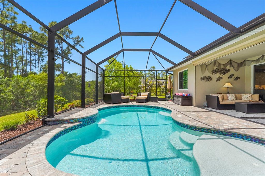 617 MISTIFLOWER CIRCLE