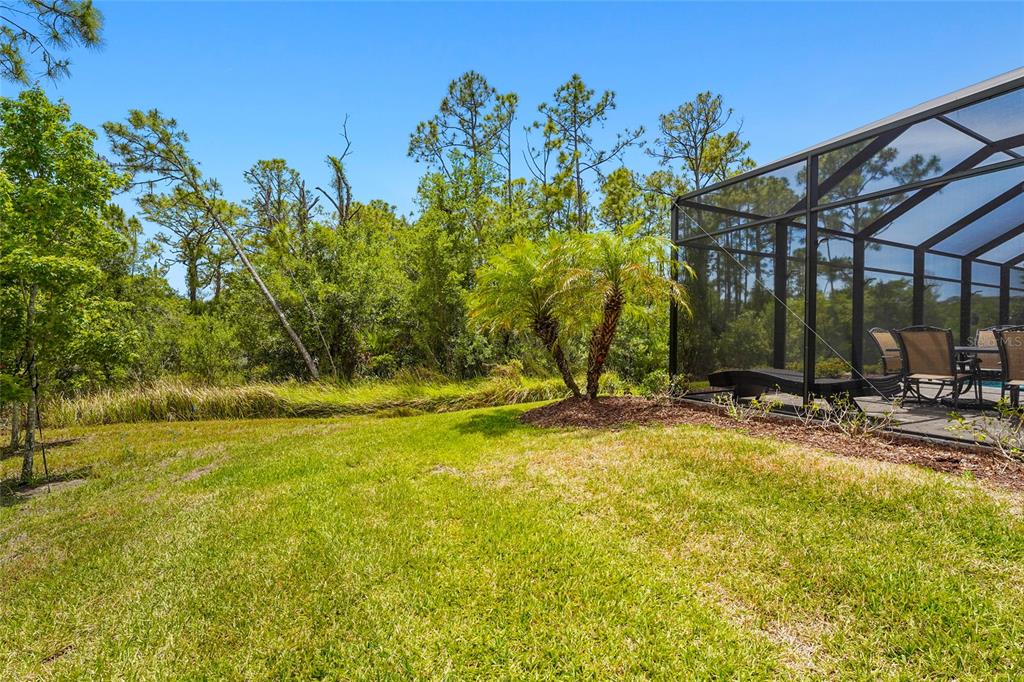 617 MISTIFLOWER CIRCLE