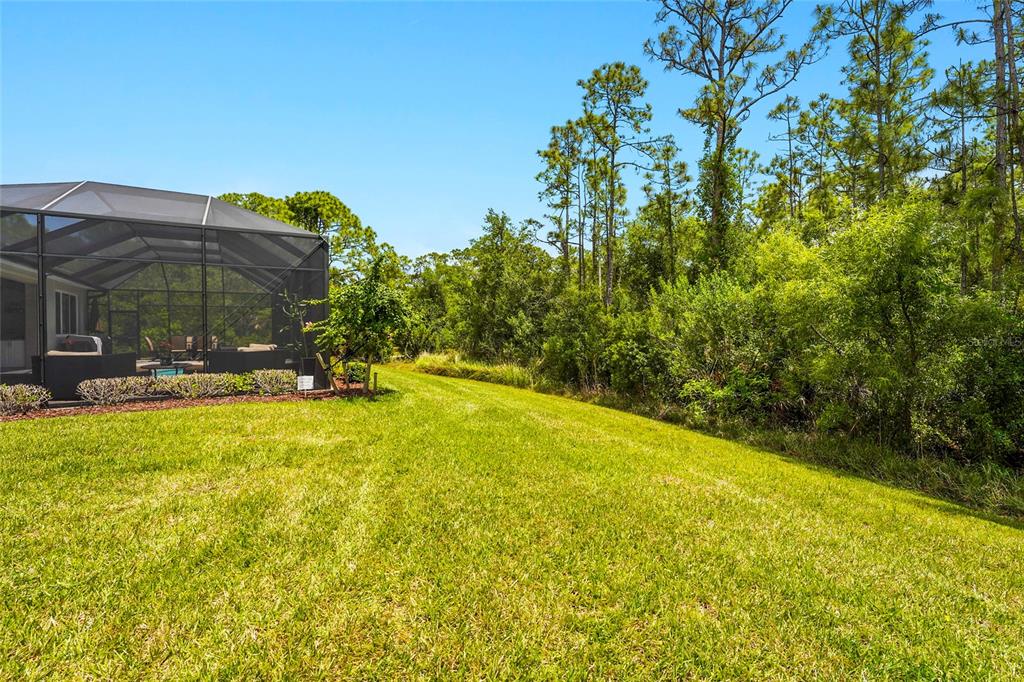 617 MISTIFLOWER CIRCLE