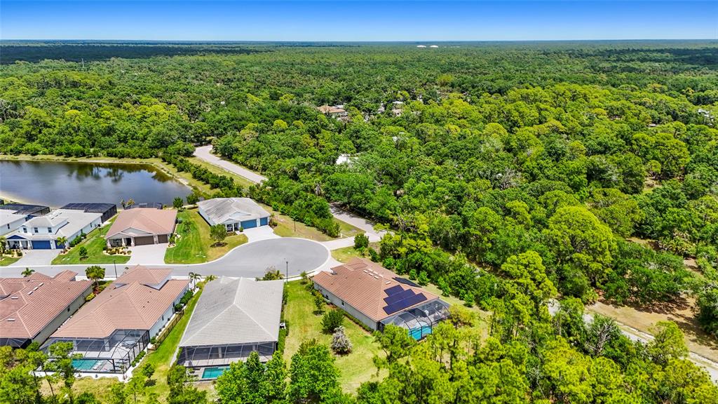 617 MISTIFLOWER CIRCLE