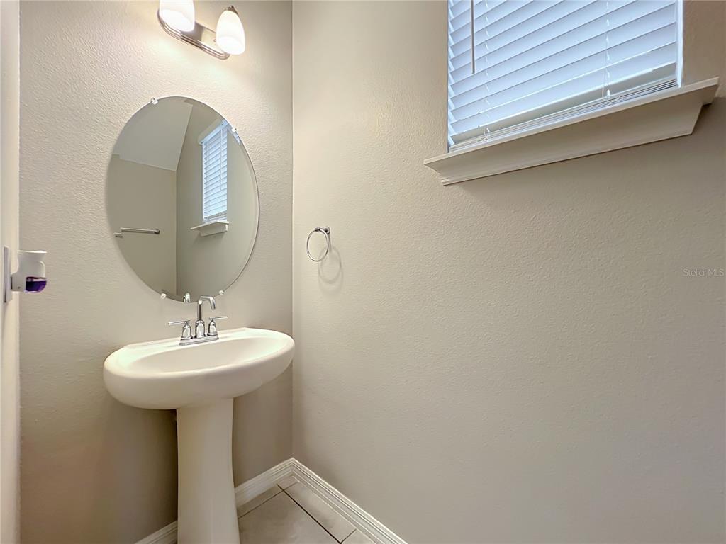 1549 ASTORIA ARBOR LANE gallery image #23