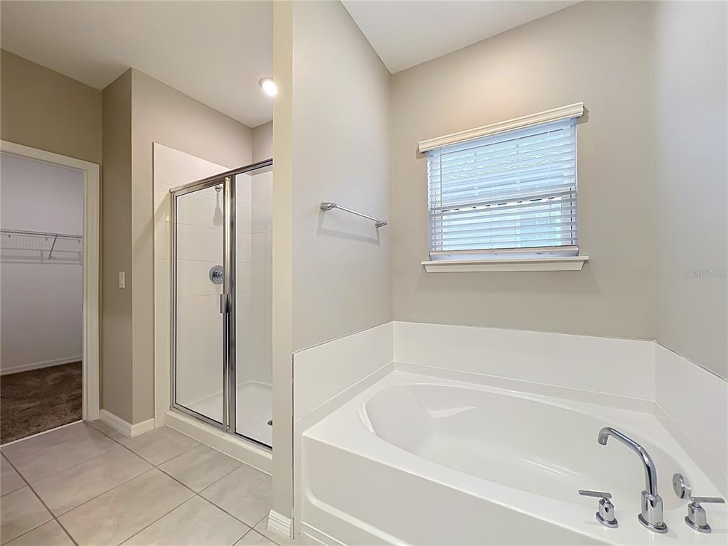 1549 ASTORIA ARBOR LANE gallery image #31