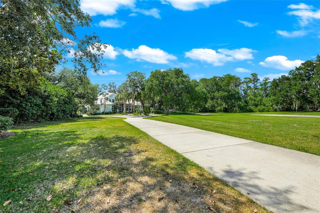 11610 OSPREY POINTE BOULEVARD gallery image #10