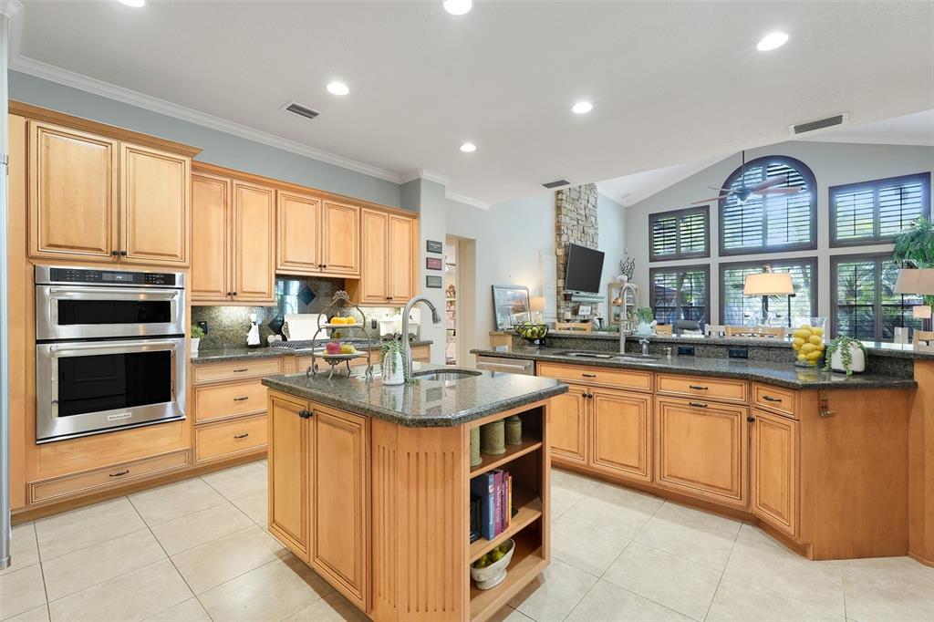 11610 OSPREY POINTE BOULEVARD gallery image #29