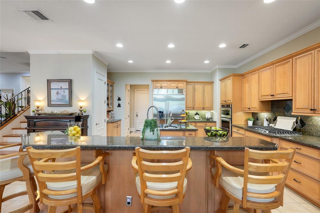 11610 OSPREY POINTE BOULEVARD gallery image #32