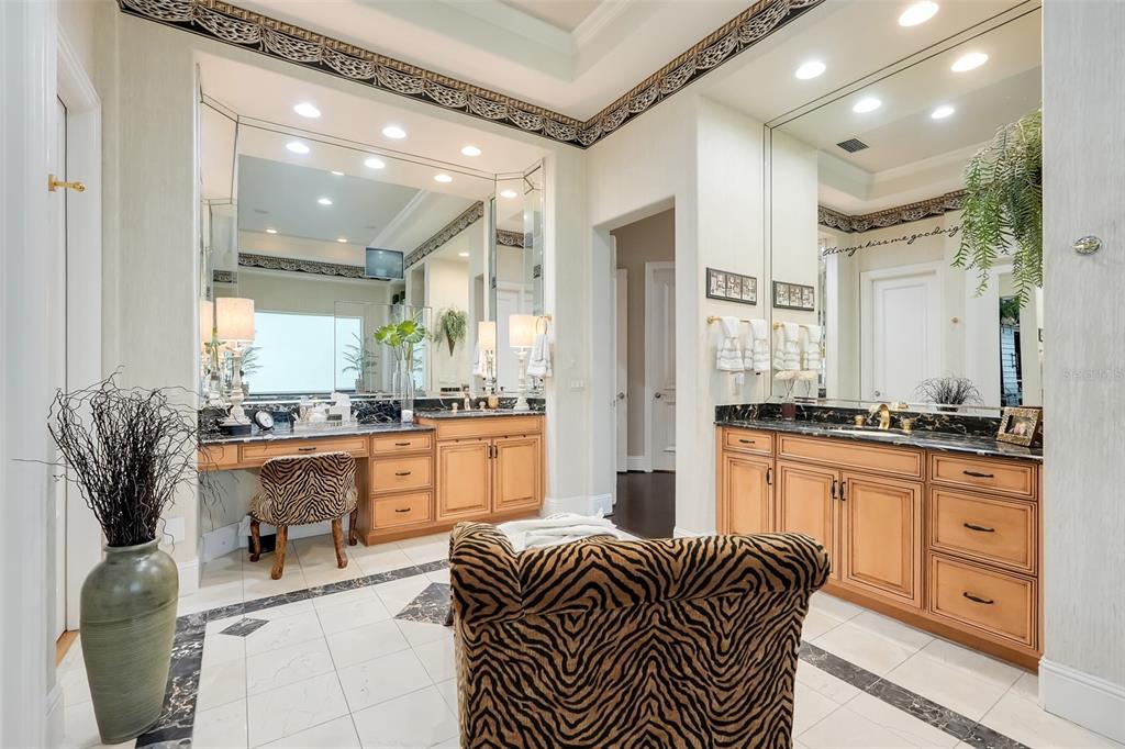 11610 OSPREY POINTE BOULEVARD gallery image #40