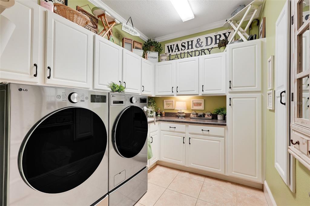 11610 OSPREY POINTE BOULEVARD gallery image #44