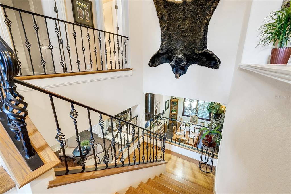 11610 OSPREY POINTE BOULEVARD gallery image #51