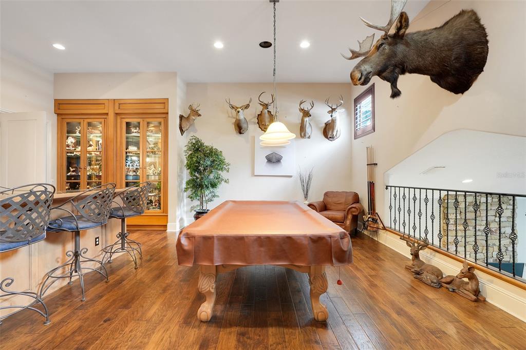 11610 OSPREY POINTE BOULEVARD gallery image #54