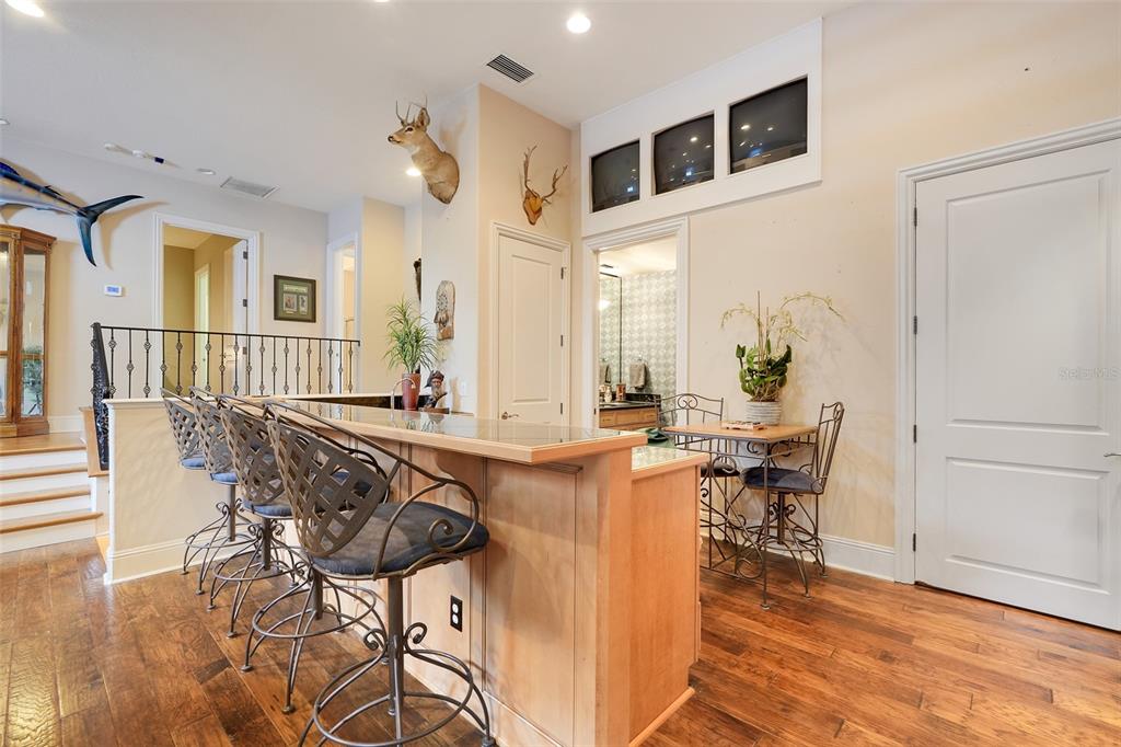 11610 OSPREY POINTE BOULEVARD gallery image #55