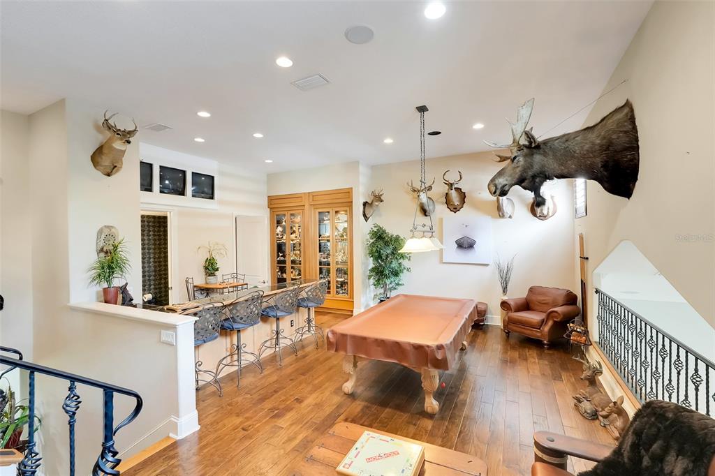 11610 OSPREY POINTE BOULEVARD gallery image #56