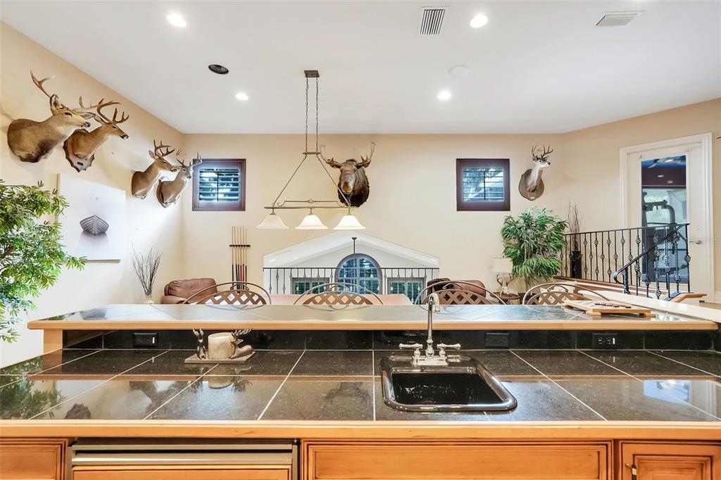 11610 OSPREY POINTE BOULEVARD gallery image #59
