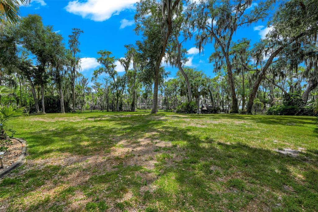 11610 OSPREY POINTE BOULEVARD gallery image #79