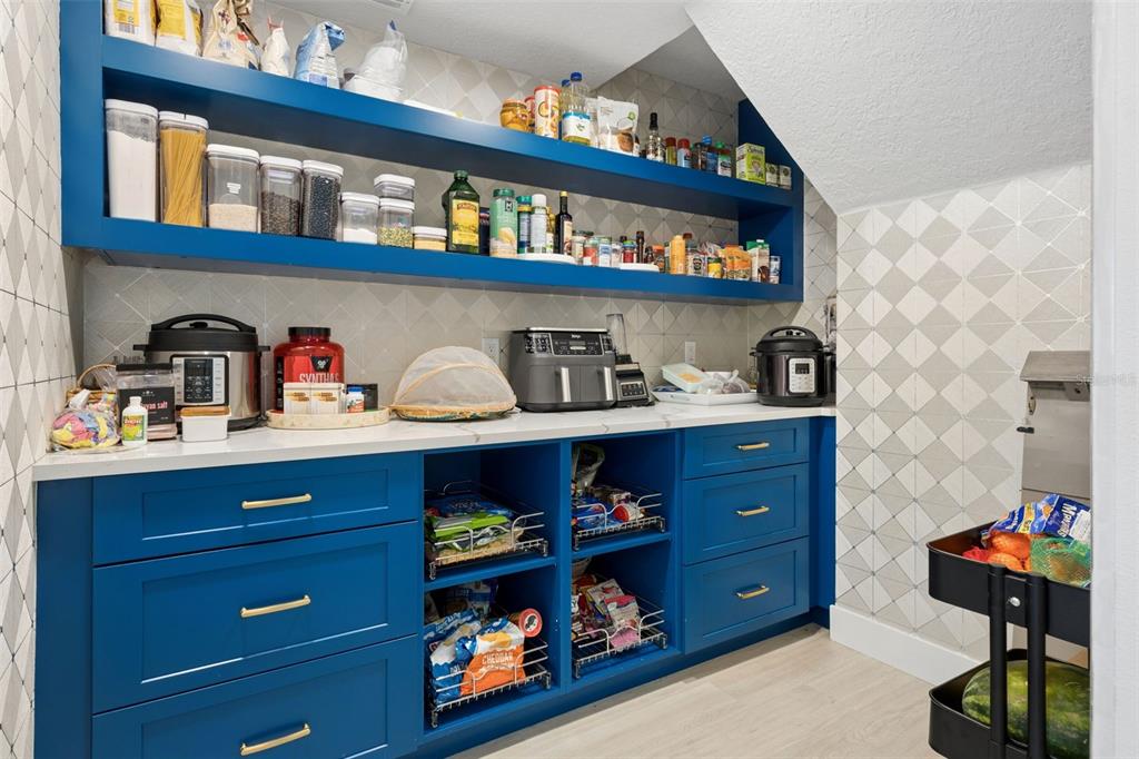 10550 LAKE MINNEOLA SHORES gallery image #22