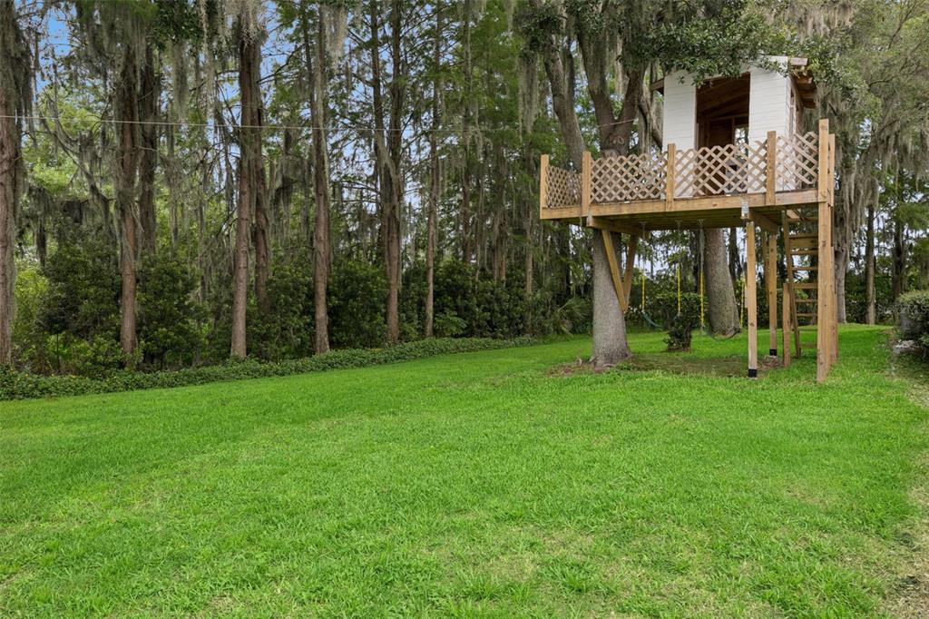 10550 LAKE MINNEOLA SHORES gallery image #63