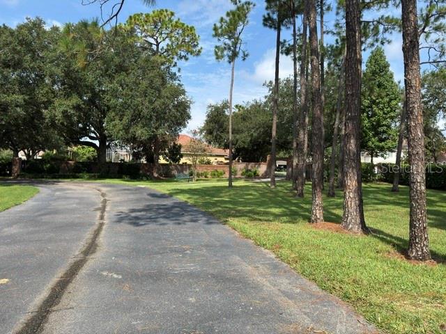 10734 WOODCHASE CIRCLE gallery image #41