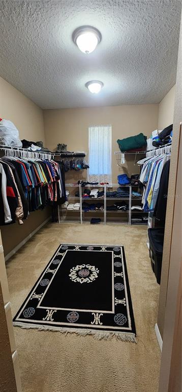 7620 TANGLE RUSH DRIVE gallery image #12