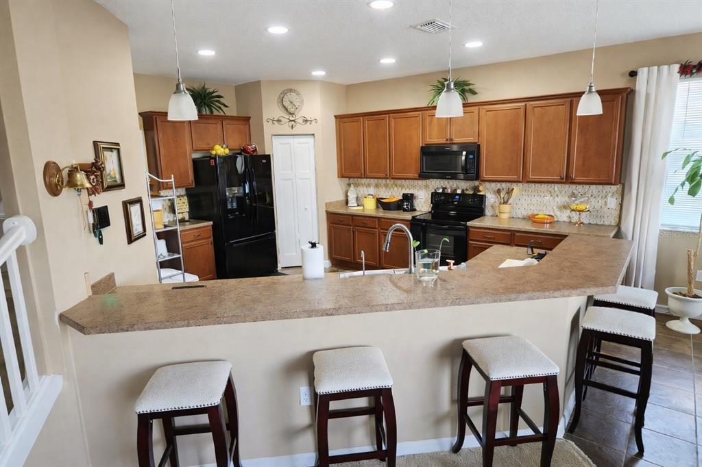 7620 TANGLE RUSH DRIVE gallery image #23