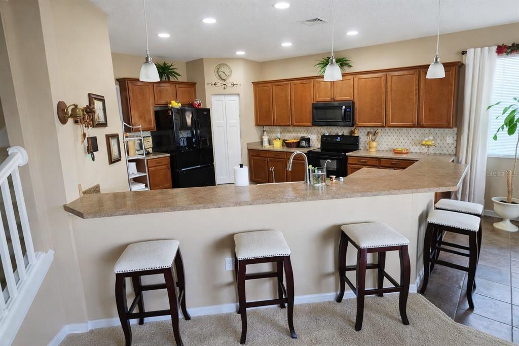7620 TANGLE RUSH DRIVE gallery image #25