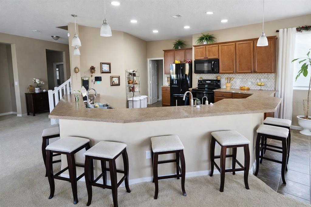 7620 TANGLE RUSH DRIVE gallery image #26