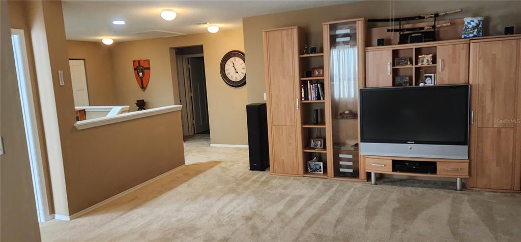 7620 TANGLE RUSH DRIVE gallery image #9