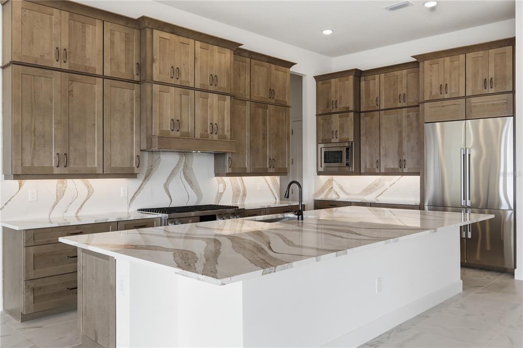 14168 LARKSPUR LAKE DRIVE gallery image #2