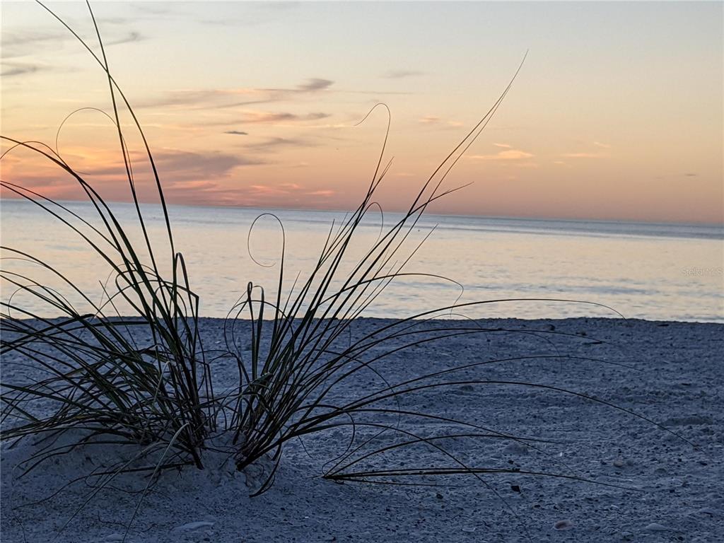 3806 GULF OF MEXICO DRIVE UNIT