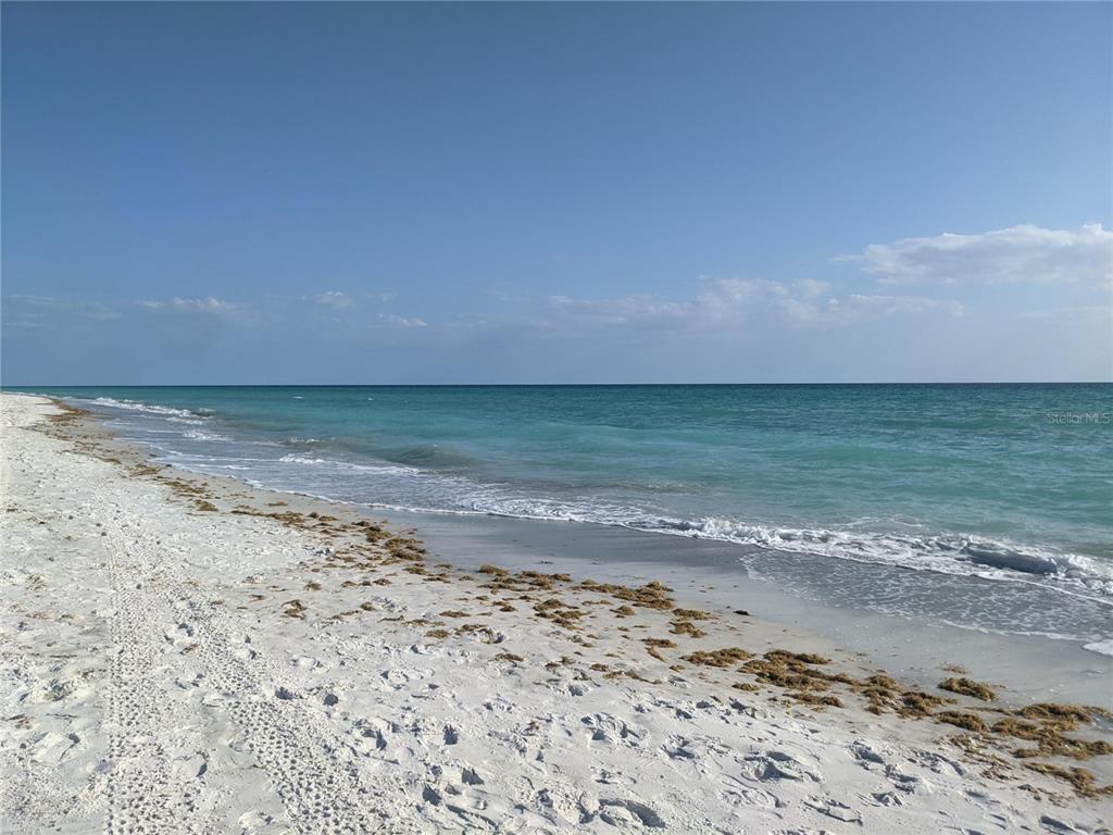 3806 GULF OF MEXICO DRIVE UNIT
