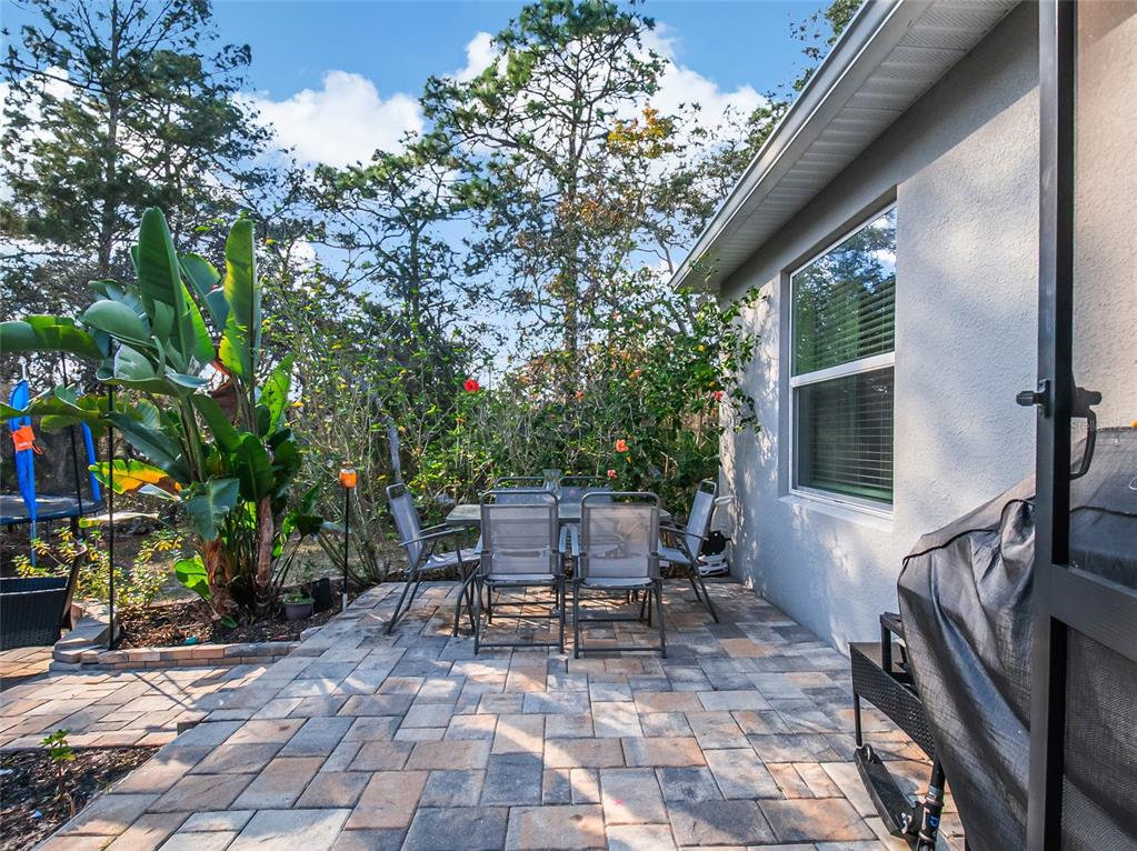 328 HIBISCUS DRIVE gallery image #39