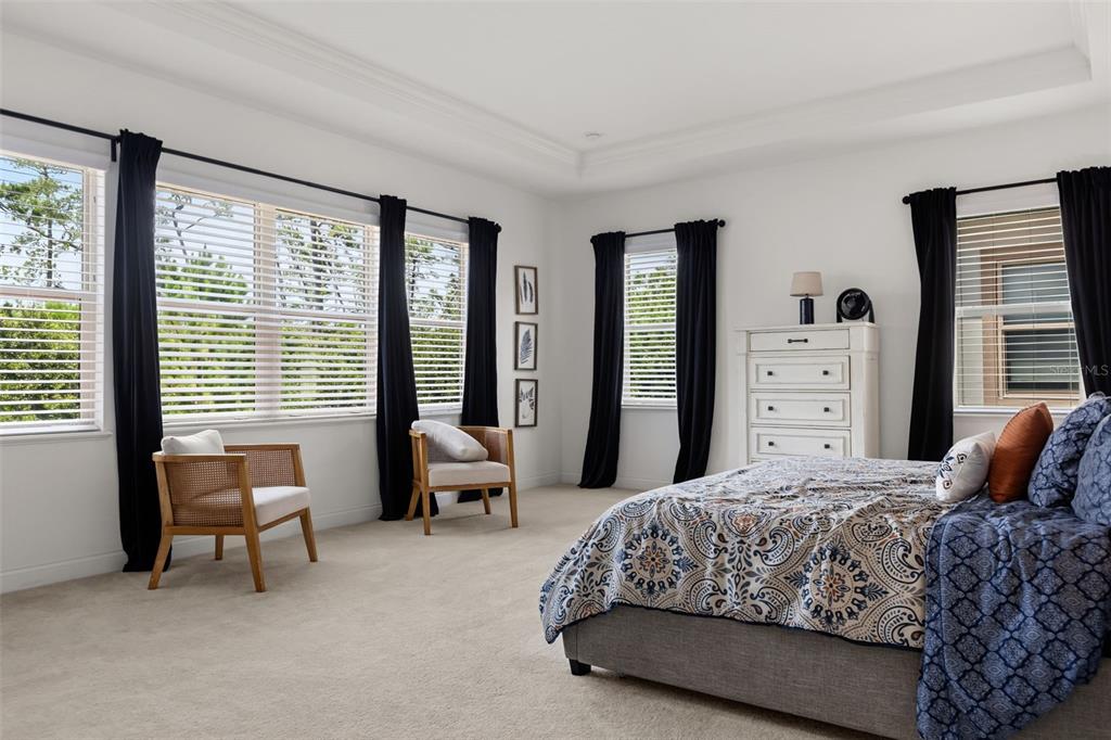 10396 ROYAL CYPRESS WAY gallery image #27