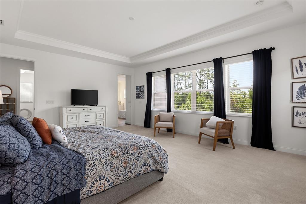 10396 ROYAL CYPRESS WAY gallery image #28