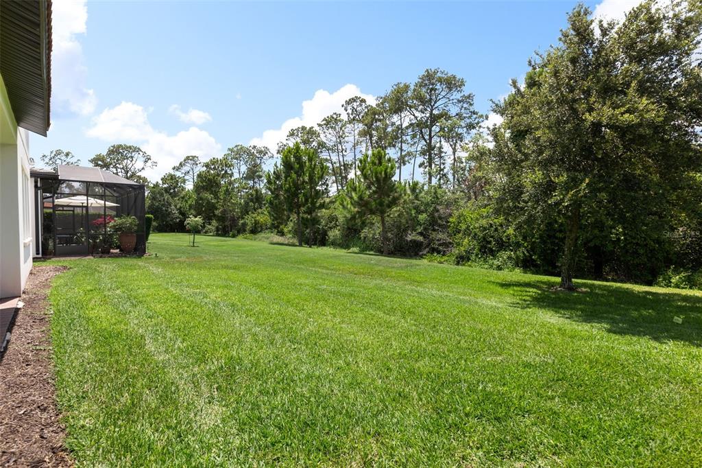 10396 ROYAL CYPRESS WAY gallery image #51