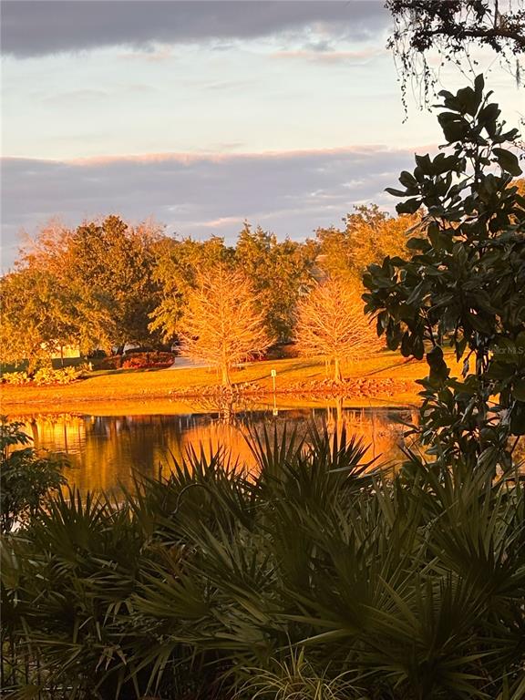 7718 FLEMINGWOOD COURT gallery image #81