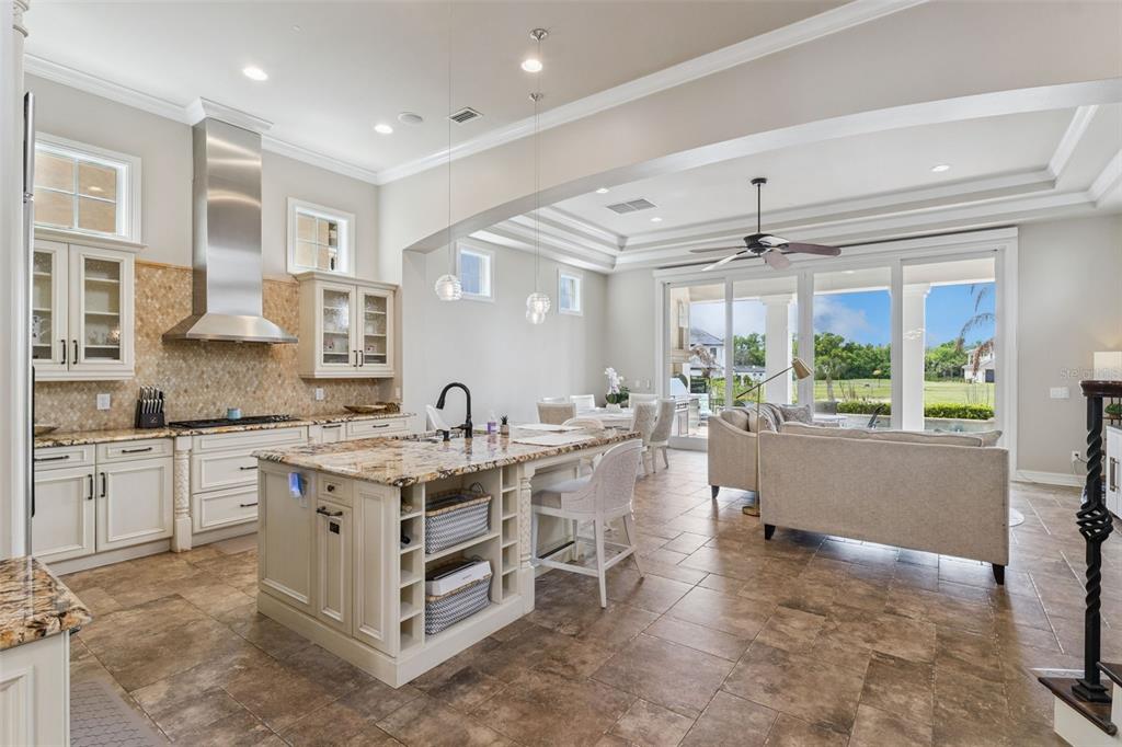 1172 CASTLE PINES CT gallery image #3