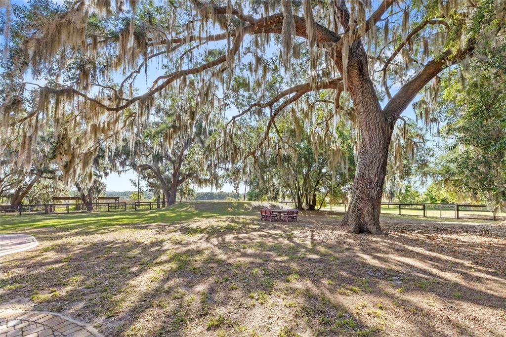 10925 ARROWTREE BOULEVARD gallery image #47
