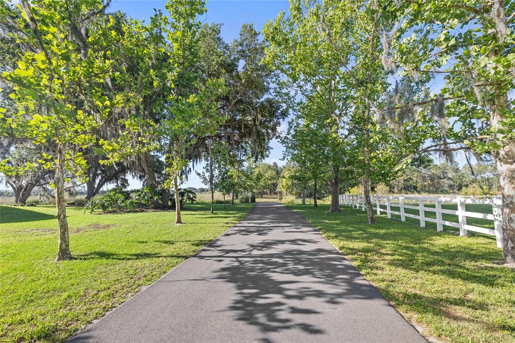 10925 ARROWTREE BOULEVARD gallery image #7