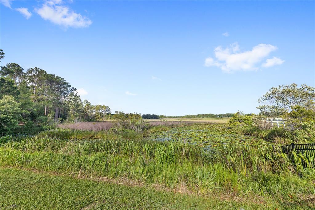 10925 ARROWTREE BOULEVARD gallery image #91