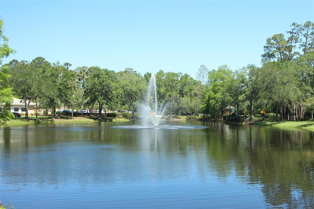 836 WOODBARK COVE gallery image #71