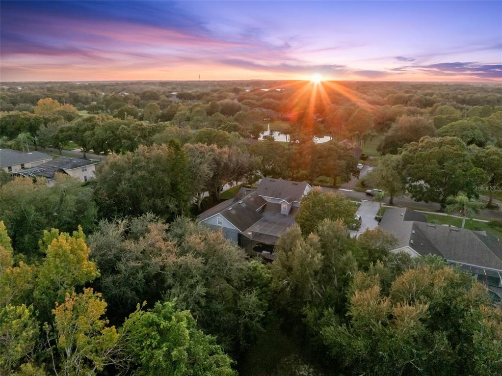 2509 RIDGEWIND WAY gallery image #38