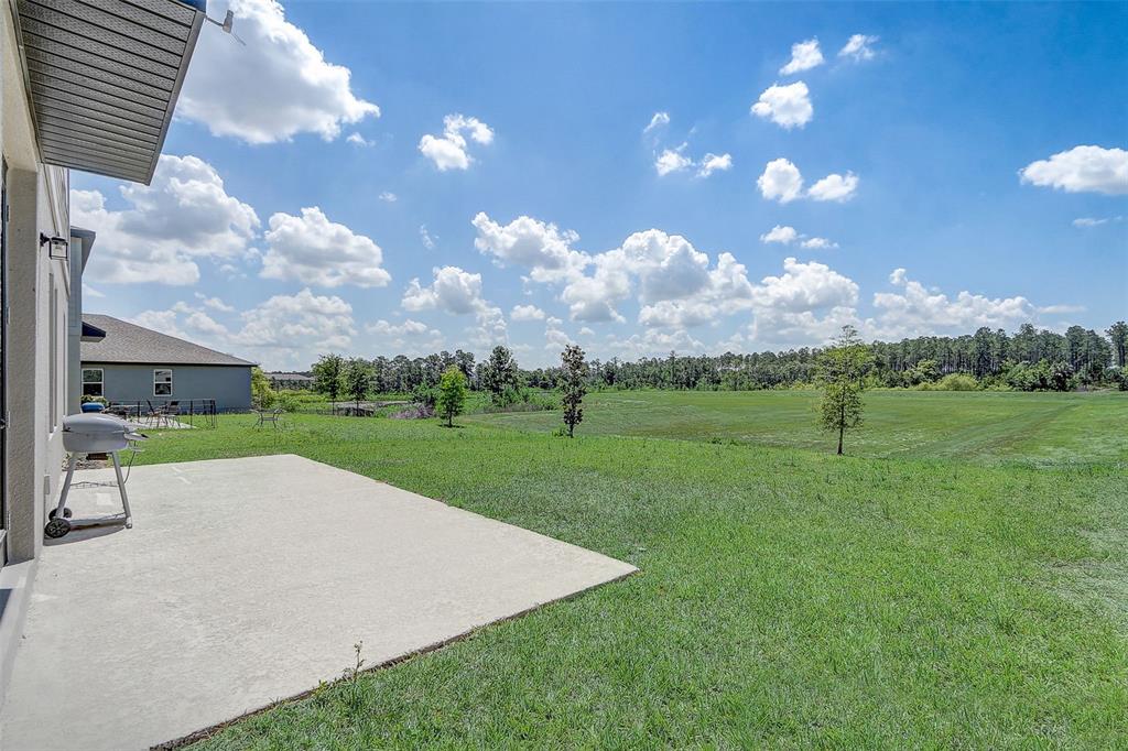 2268 DERWENT DRIVE gallery image #41